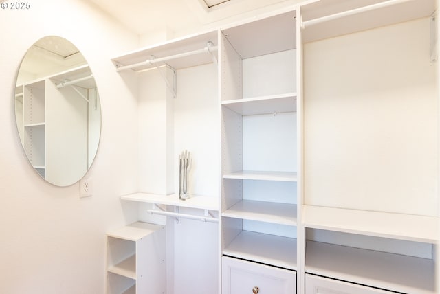 view of walk in closet