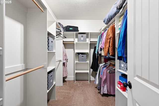 1622 Provincial Way, Eugene, OR 97401 - walk in closet featuring carpet flooring