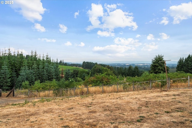 view of yard with a rural view