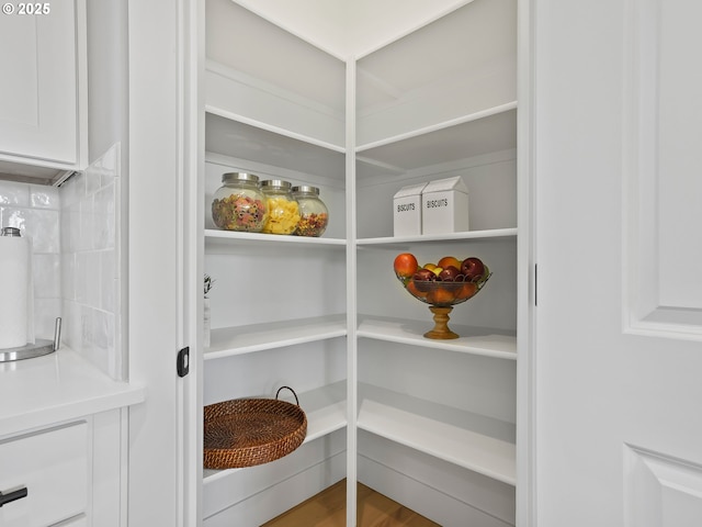 view of pantry