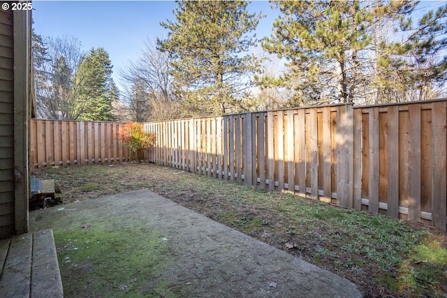 view of yard featuring a patio area