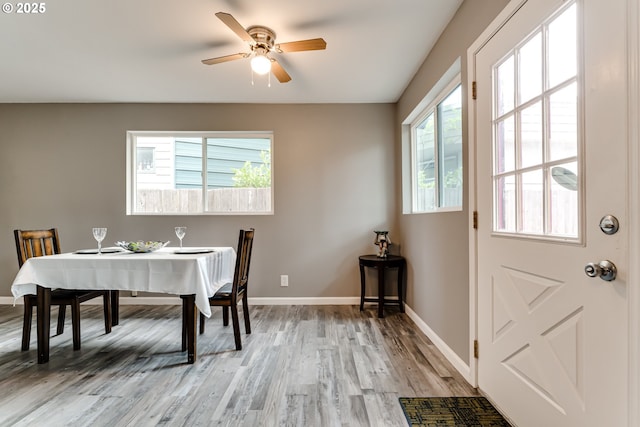 dining area with ceiling fan and light hardwood / wood-style floors