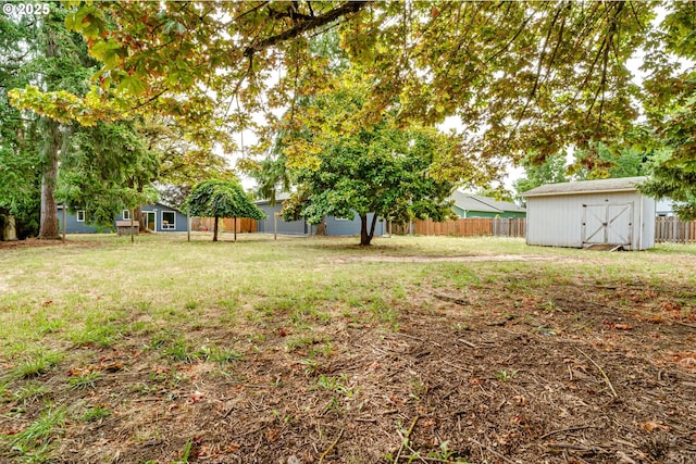 view of yard with a shed