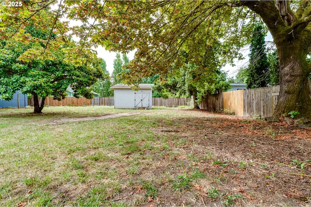 view of yard with a shed