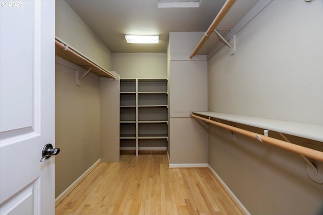 walk in closet featuring light wood-style flooring
