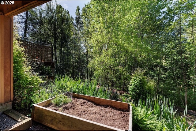 view of yard with a garden