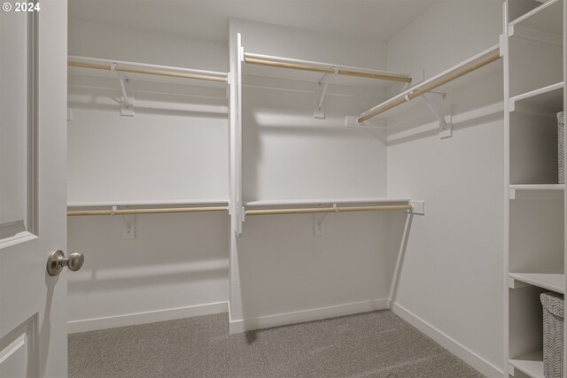 3619 Chestnut St Lot 51, Forest Grove, OR 97116 - spacious closet featuring carpet floors