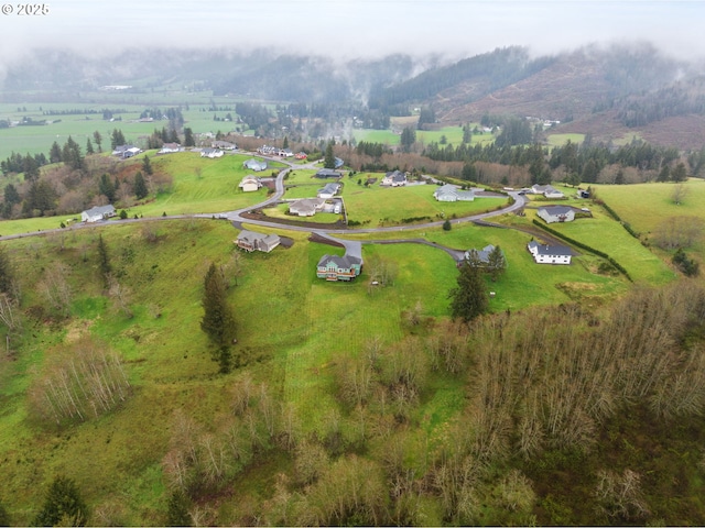 birds eye view of property with a rural view and a mountain view