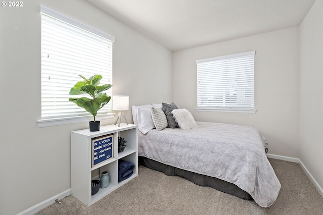 bedroom featuring multiple windows and light carpet