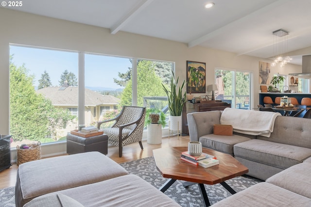 living area featuring an inviting chandelier, beam ceiling, and light wood-type flooring
