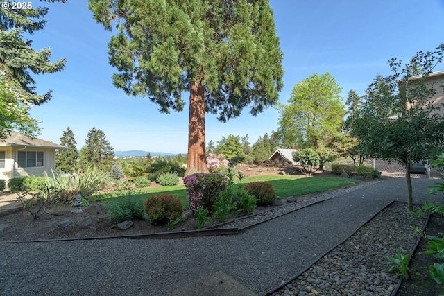 view of community