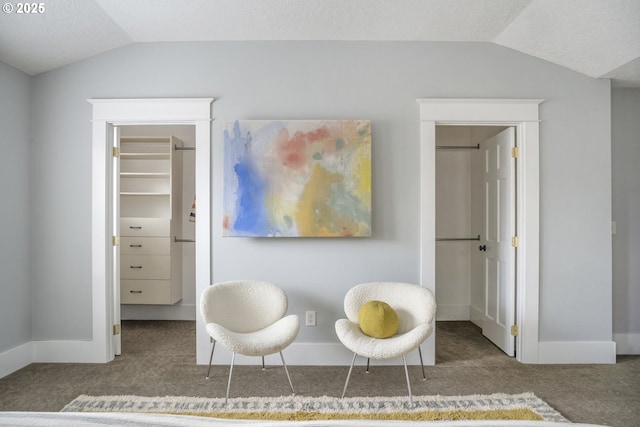 living area with lofted ceiling, carpet flooring, and a textured ceiling