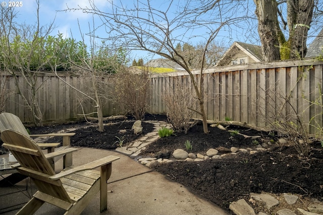 view of yard featuring a patio area and a fenced backyard