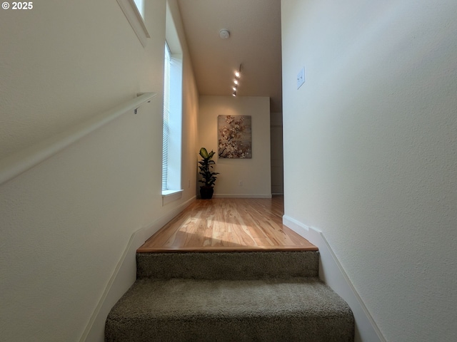 3159 SW Jaden Dr, Beaverton, OR 97003 - stairway featuring wood finished floors and baseboards