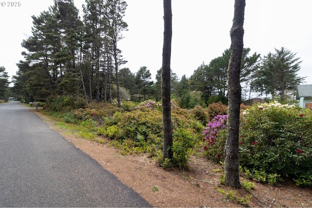 Terrace View Drive Tl 224, Florence, OR 97439