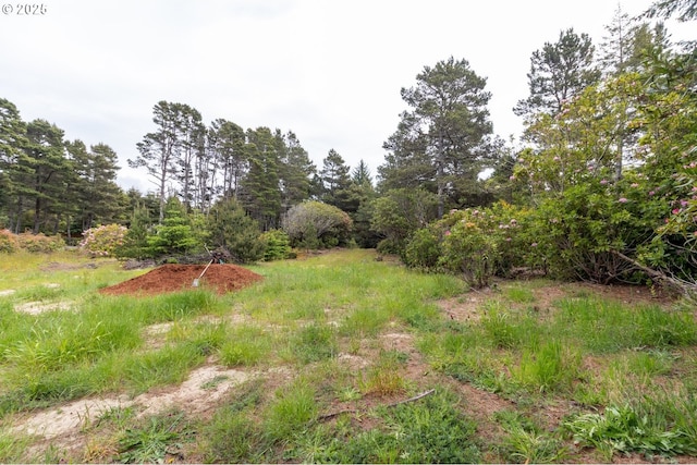 Terrace View Drive Tl 224, Florence, OR 97439