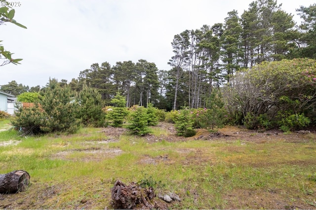 Terrace View Drive Tl 224, Florence, OR 97439