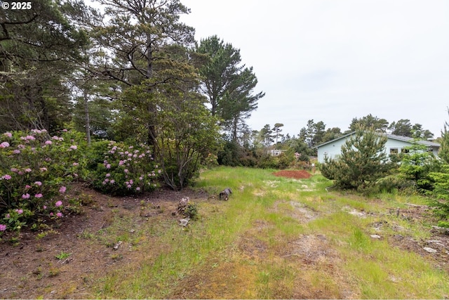 Terrace View Drive Tl 224, Florence, OR 97439