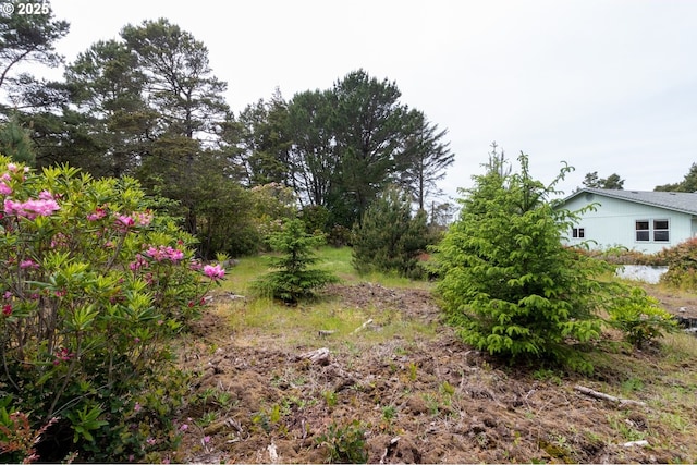 Terrace View Drive Tl 224, Florence, OR 97439