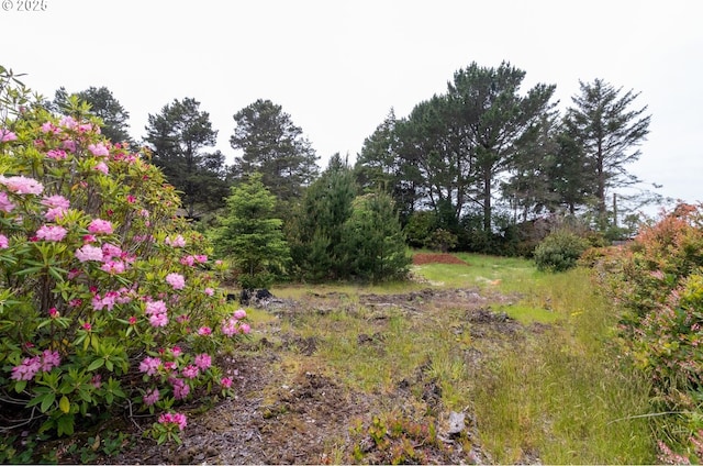 Terrace View Drive Tl 224, Florence, OR 97439