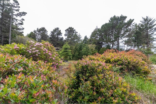 Terrace View Drive Tl 224, Florence, OR 97439