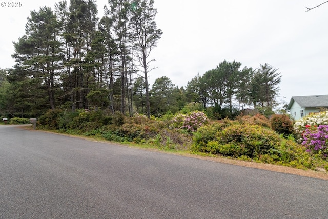 Terrace View Drive Tl 224, Florence, OR 97439