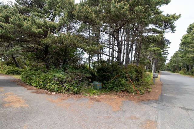 Terrace View Drive Tl 224, Florence, OR 97439