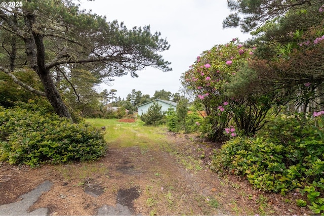 Terrace View Drive Tl 224, Florence, OR 97439