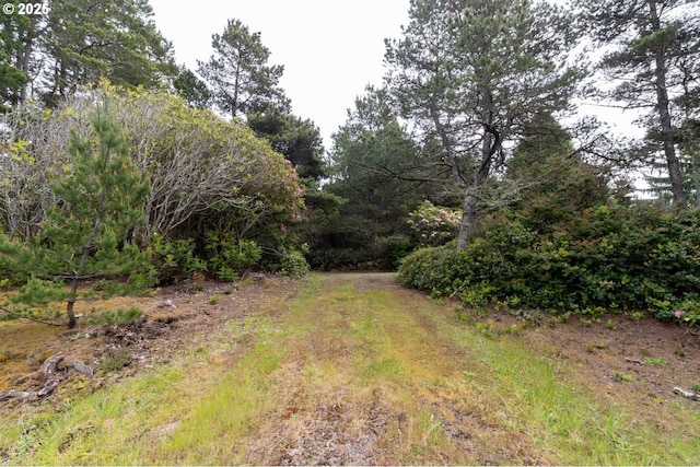 Terrace View Drive Tl 224, Florence, OR 97439