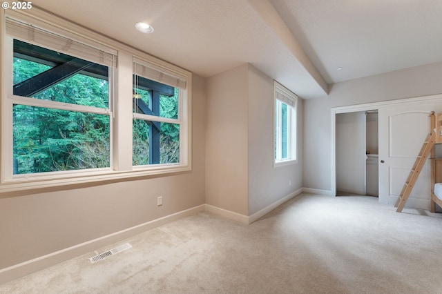 additional living space with light carpet