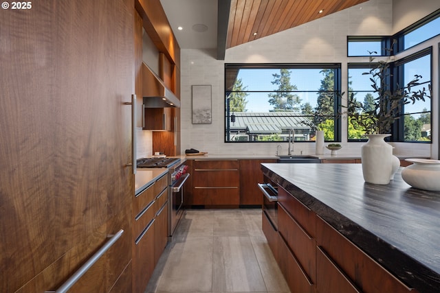 kitchen with a healthy amount of sunlight, modern cabinets, stainless steel stove, a sink, and wall chimney exhaust hood