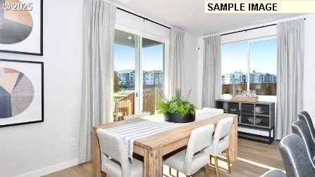 dining area with light hardwood / wood-style flooring