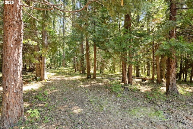 7291 Rice Valley Rd, Oakland, OR 97462 - view of woods