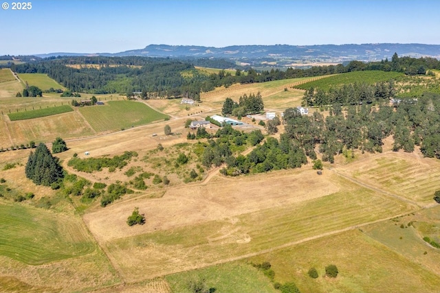 birds eye view of property with a rural view and a mountain view