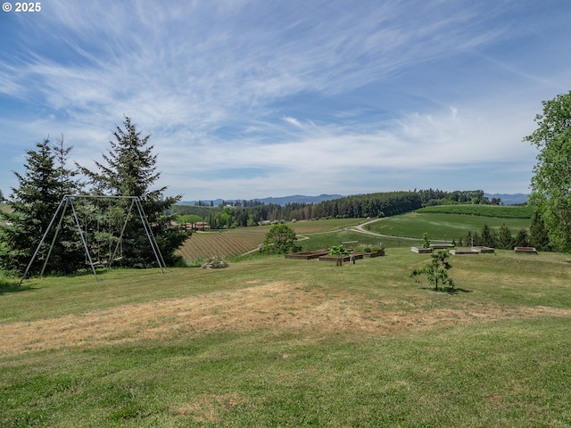 view of green lawn with a rural view