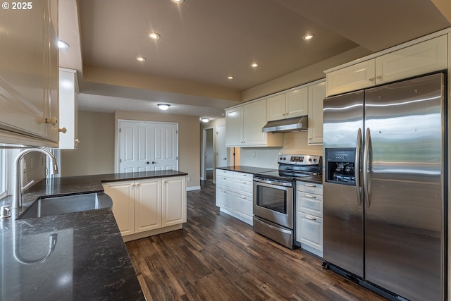 3026 NW Norwood St, Camas, WA 98607 - kitchen featuring stainless steel appliances, a sink, dark wood-style floors, under cabinet range hood, and recessed lighting