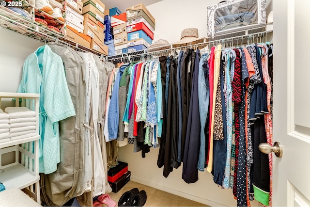 walk in closet with carpet floors