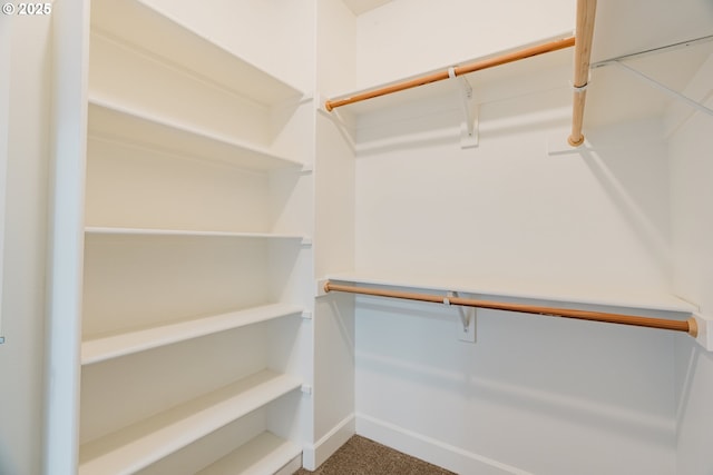 spacious closet with carpet