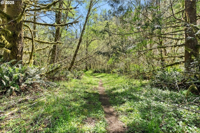 view of landscape with a wooded view