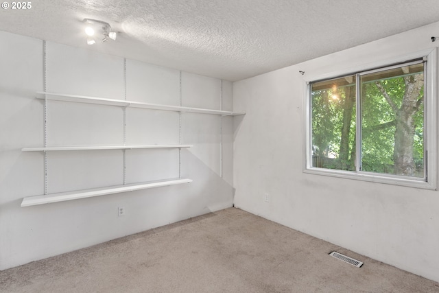 unfurnished room with carpet and a textured ceiling