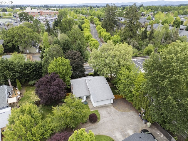 bird's eye view
