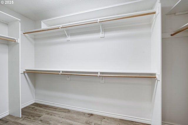 spacious closet with wood-type flooring