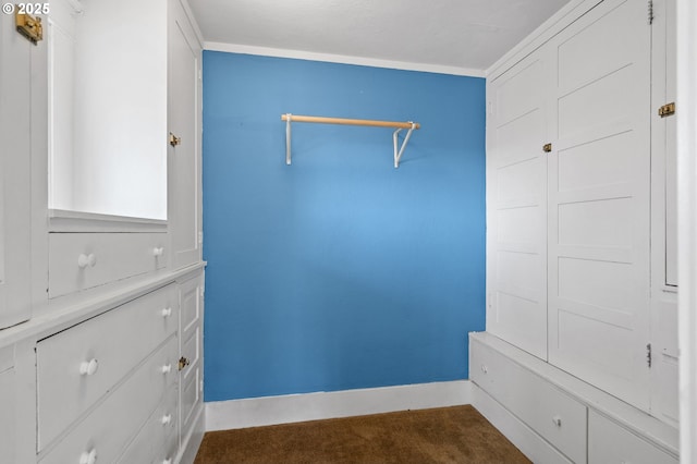 spacious closet featuring carpet flooring