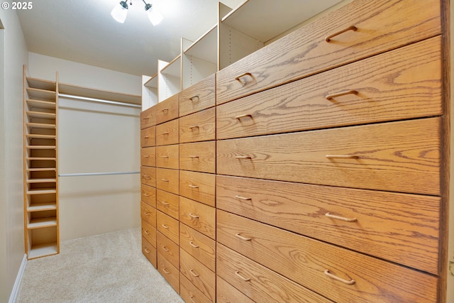 11675 SW Lynn St, Portland, OR 97223 - walk in closet featuring carpet flooring