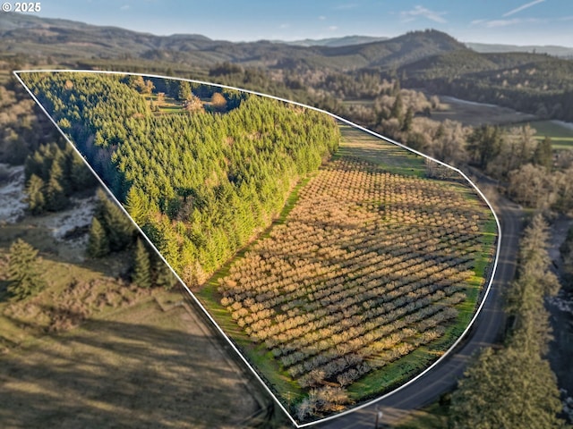 bird's eye view featuring a mountain view and a rural view