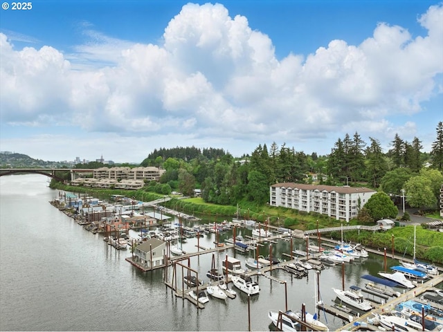 525 SE Marion St # 2, Portland, OR 97202 - water view featuring a marina and a boat dock