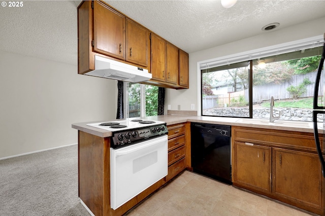 kitchen with white electric range oven, a textured ceiling, brown cabinets, a sink, and dishwasher