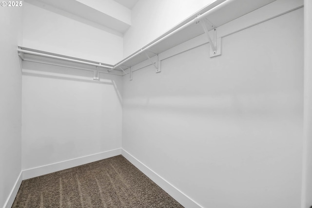 spacious closet featuring dark colored carpet