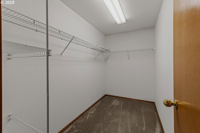 4720 NE 124th Ct, Vancouver, WA 98682 - spacious closet featuring carpet floors
