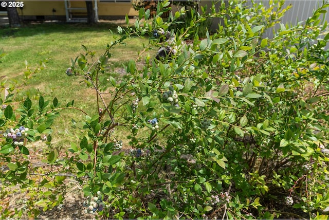 4720 NE 124th Ct, Vancouver, WA 98682 - view of yard